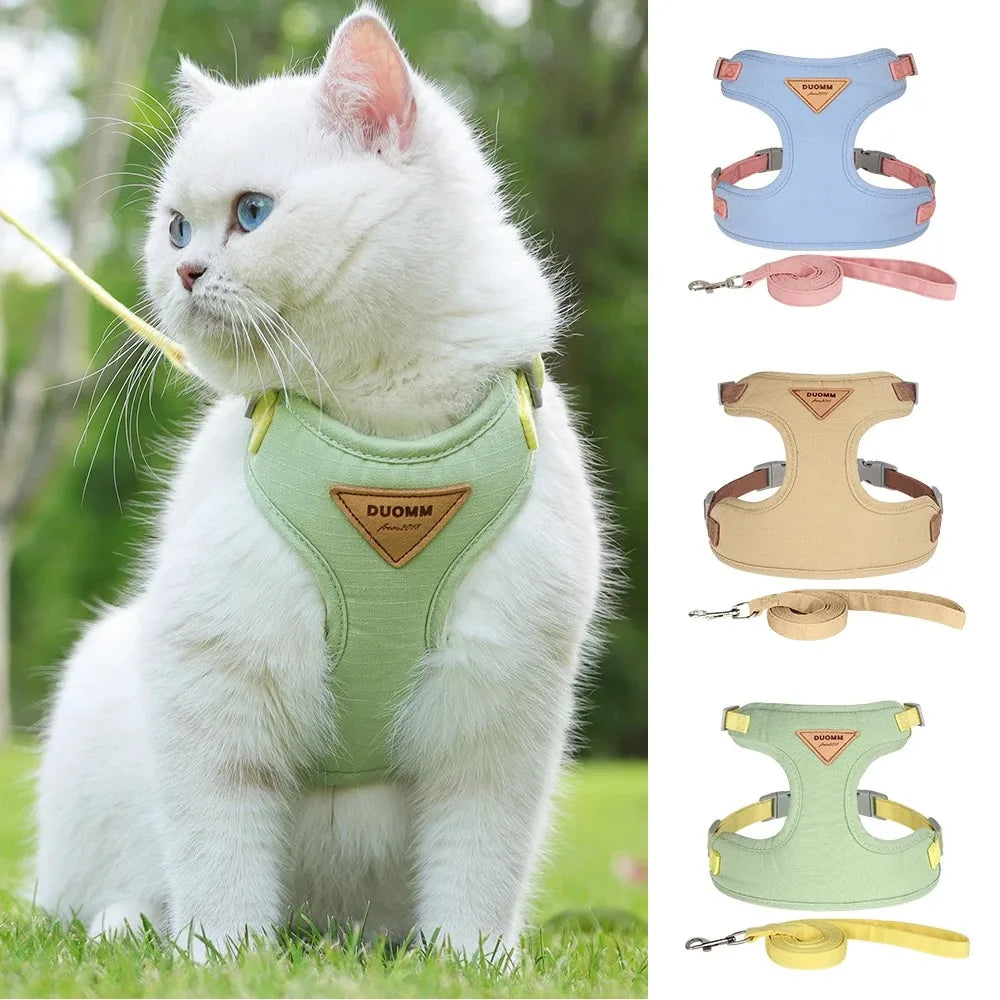 Cats Collars Pet Collar Accessories So Pets Leash Belt Harness Animals Products Kittens Necklace Chatons Cute Kitten