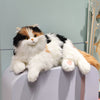 Smart Home Paws Percy | Robotic Emotional Support Cat for Seniors & Pet Lovers