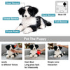 Smart Home Paws Percy | Robotic Emotional Support Cat for Seniors & Pet Lovers