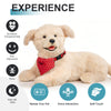 Smart Home Paws Percy | Robotic Emotional Support Cat for Seniors & Pet Lovers