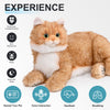 Smart Home Paws Percy | Robotic Emotional Support Cat for Seniors & Pet Lovers