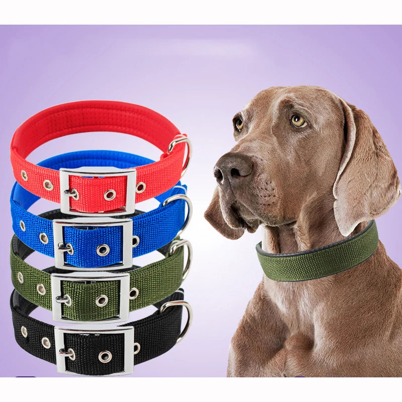 SmartHomePaws Heavy Duty Nylon Dog Collar - Durable Metal Buckle Pet Collar for Small, Medium & Large Dogs