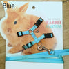 120CM Pet Rabbit Soft Harness Leash WIth Bell Adjustable Traction Rope Accessories for Pet Bunny Chinchilla Guinea Pig Run Walk