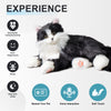 Smart Home Paws Percy | Robotic Emotional Support Cat for Seniors & Pet Lovers