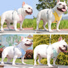 Dog Harness and Leash Set Adjustable No-Pull Pet Harness for Small/Medium Dogs, Comfortable & Secure for Walking
