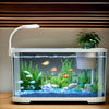 Aquarium Kit Starter Betta Fish Tank for Beginners Silent Decorative Fish Bowl for Turtle Aquatic Animals Clear Desktop Aquarium