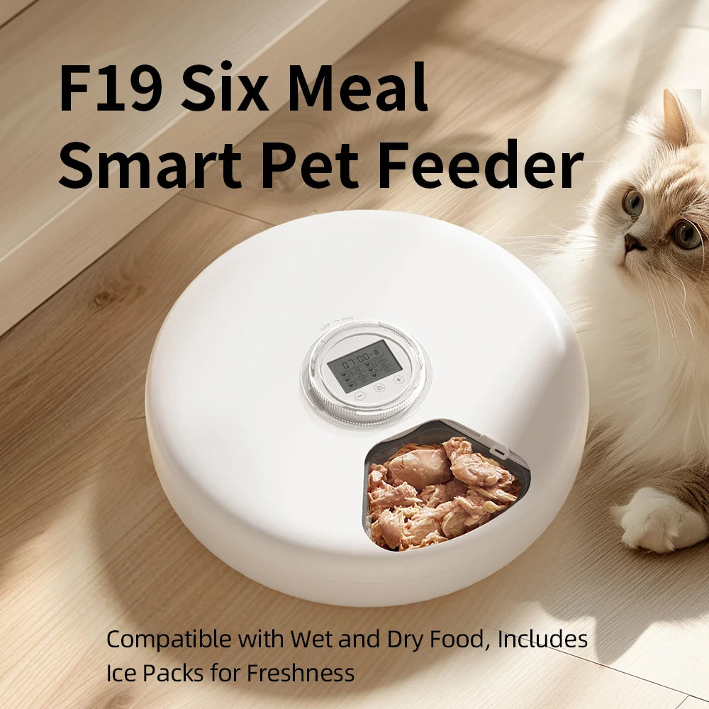 Smart Automatic Pet Feeder Wet Dry Food Dispenser 6 Meals Smart Cat Feeder Kibble Dispenser For Cat Dog Pets Supply Bowl