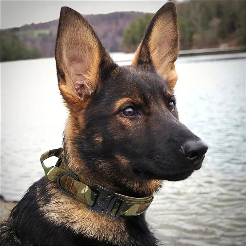 Dog Collar Nylon Adjustable Durable  For Medium Large Outdoor Walking Training