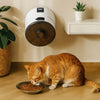 Button/WIFI Control Pet Automatic Feeder Wall Mounted Timed Feeding Pet Food Dispenser Electric Quantitative Dog Feeding Machine