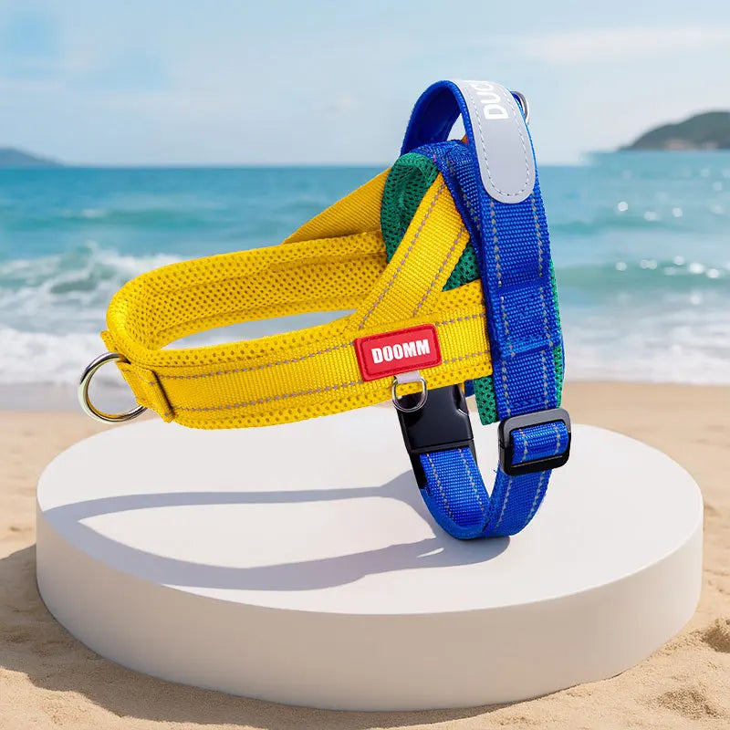 Padded No-Chafe Dog Harness with Leash: Wide Webbing & Color-Blocked Design for Secure and Comfortable Outdoor Walking