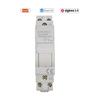 Tuya Smart Life ZigBee Circuit Breaker Din Rail 1P Single Pole Dry Contact Timer Relay App Remote Control Smart Timer