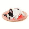 Pet Heating Pad Electric Warm Mat for Cats and Dogs Thermostatic & Waterproof Chew-Resistant & Shock-Proof Pet Heater Bed Winter