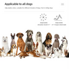 Smart Automatic Anti Barking Dog Collar Electronic Training Collar HD Digital Display IP67 Rechargeable Electric Bark Stopper