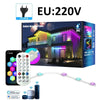 WIFI Smart Permanent Outdoor Lights App Remote Voice Control Eaves LED RGBIC Light Waterproof Music Sync Timer for Holiday Decor
