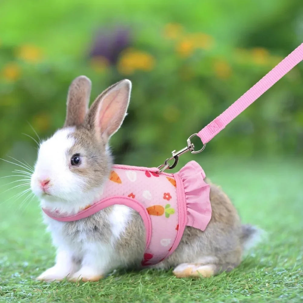 Cute Rabbit Harness and Leash Set Bunny Clothes Pet Accessories Vest Harnesses Rabbit Leashes for Outdoor Walking Pets Supplies