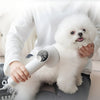 Smart Pet Heating Hair Dryer Integrated Dog Dryer Cat Hair Blow and Comb 2in1 Puppy Hair Dryer for Dogs Quick Drying
