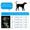 LED Glowing Dog Collar Adjustable Flashing Rechargea Luminous Collar Night Anti-Lost Dog Light HarnessFor Small Dog Pet Products