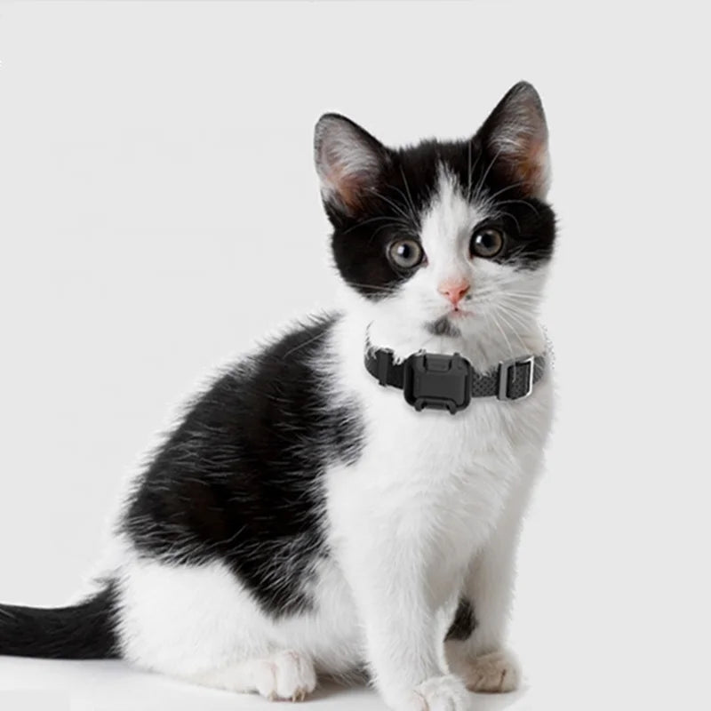 Smart Finder Pet Cat Puppy Location Tracker System 2G 3G 4G GPS Sport Dog Tracking Collar