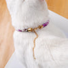 New Adjustable Pet Collar  with Bell Buckle Cat Vintage Style Collars & Leads Products for Rabbit Kitten Collar Lead Accessories
