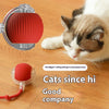 Cat Interactive Ball Toys Automatic Rolling Ball For Kitten Rechargeable Smart Pet Electric Toys With Teaser Sensor Cat Ball Toy