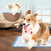Pet pad, dog and cat pee training pad, pet toilet training pad, suitable for family reserve, pet shop, pet charity