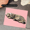 Heated Cat Bed Cat Heating Pad Cat Furniture Medium Electric Heating Pad For Dogs And Cats Indoor Adjustable Warming Mat