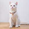 New Adjustable Pet Collar  with Bell Buckle Cat Vintage Style Collars & Leads Products for Rabbit Kitten Collar Lead Accessories