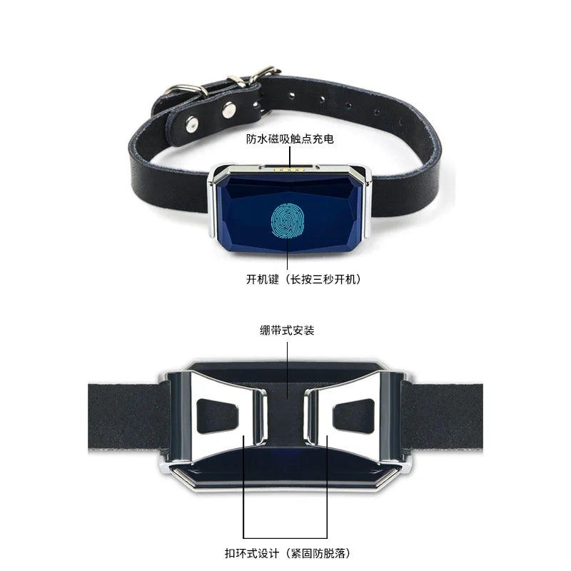 Smart Gps Pet Tracker Collar Real-Time Tracking 5m Accuracy Ip67 Waterproof 10-Day Battery Geofence Alerts Dogs Cats Positioning
