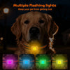 Smart Home Paws G63 4G GPS Pet Tracker – No Monthly Fee Option