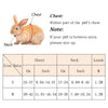 Preppy Style Pet Rabbit Harness and Leash Set for Rabbits Bunnies Small Animals Outdoor Walking Supplies Bunny Vest Clothing