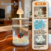 Small Mini Starter Fish Tank Kit with Light Suitable for placing in the living room Ideal for betta fish desktop turtle habitat