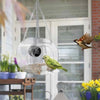 Smart Feeding House Acrylic with Camera Home Pet Bird Feeder Transparent 1080P HD Easy Installation for Outdoor Garden