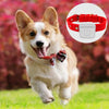 Smart Mini  Gps Trackers Waterproof Locator Tracker for Pet Dog Cat Smart Tracker