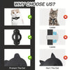 Cat Trackers GPS Cat Tracker Collar Pet Kitten GPS Collar Multifunctional Pet Smart GPS Trackers Pets Accessories iOS compatible