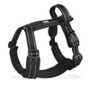Harnesses and Wears Necklaces Harness With Dog Leash Classic Medium Small Dogs Pet Accessories Chest Puppy Collar Big Accessory