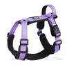 Harnesses and Wears Necklaces Harness With Dog Leash Classic Medium Small Dogs Pet Accessories Chest Puppy Collar Big Accessory