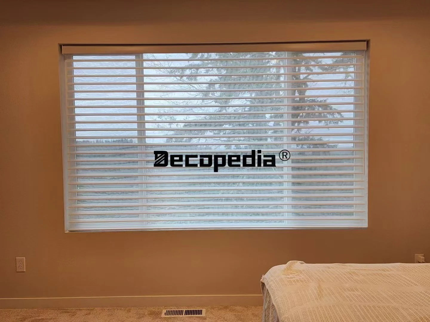 Smart Motorized Sheer Shades Double Layers Day and Night Sheer Roller Shades Blinds for Windows Living Room Custom Made