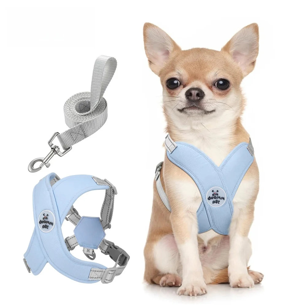 Dog Harness and Leash Set Adjustable No-Pull Pet Harness for Small/Medium Dogs, Comfortable & Secure for Walking