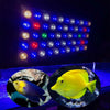 165W Smart Aquarium Light Dimming Seawater Fish Tank Aquarium Light