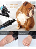 Smart Dog Hair Drying Machine House Use Double Motor Pet Grooming Dryer