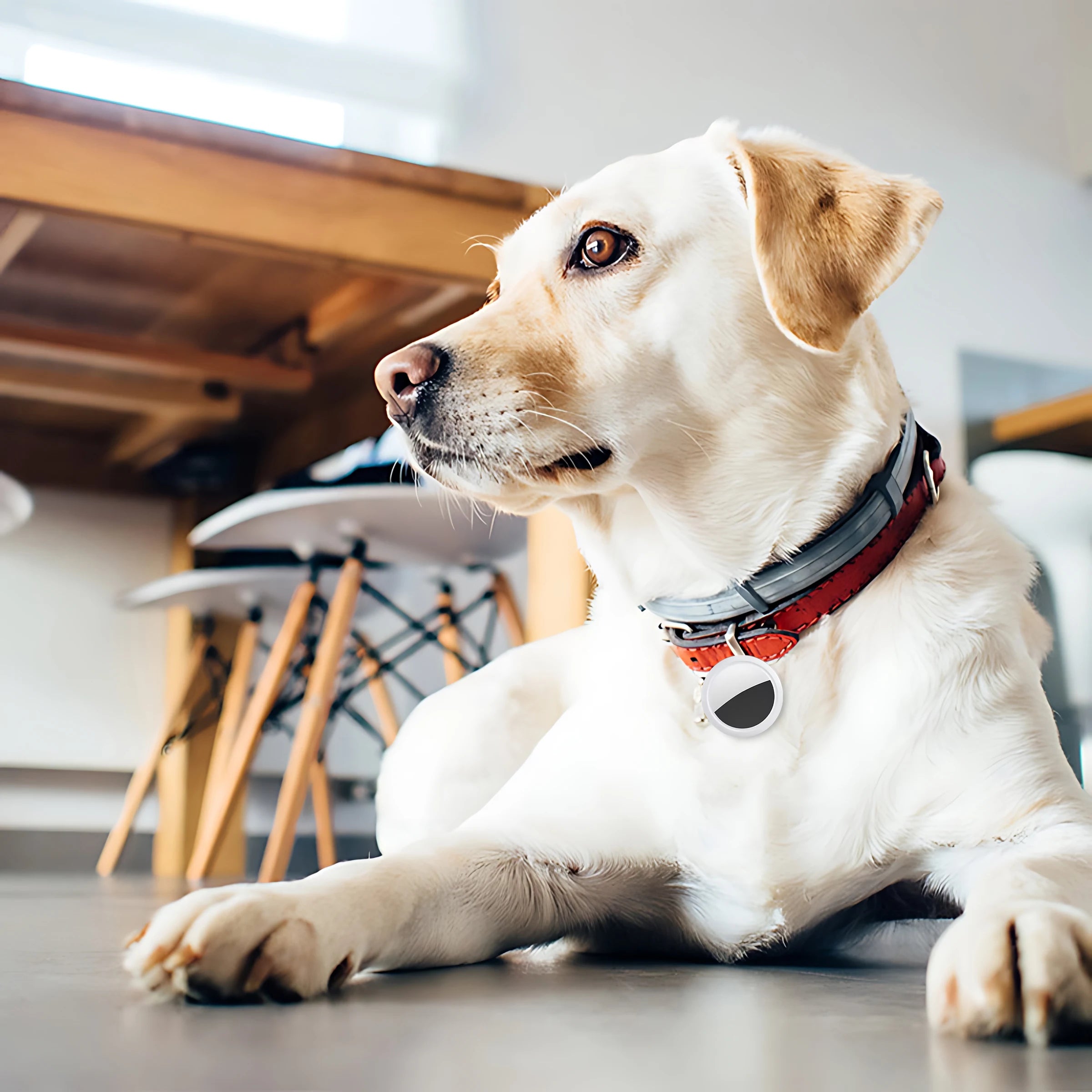 Smart Bluetooth GPS Anti - lose Tracker Sound locate msg reminder alarm For keys wallets kids pets APP tracking on iOS & Android