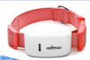 Smart Home Paws Cat GPS Tracker | Real-Time Locator | Geofence Alerts | No Subscription