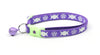Witch's Familiar on Purple Cat Collar