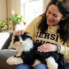 Smart Home Paws Percy | Robotic Emotional Support Cat for Seniors & Pet Lovers