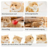 Smart Home Paws Percy | Robotic Emotional Support Cat for Seniors & Pet Lovers